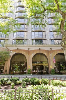 1440 N State Pkwy. #22A, Chicago, IL 60610