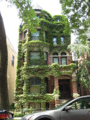 2226 N Fremont St., Chicago, IL 60614