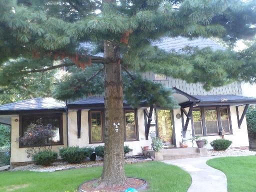 1026 Forest Hill St., Calumet City, IL 60409