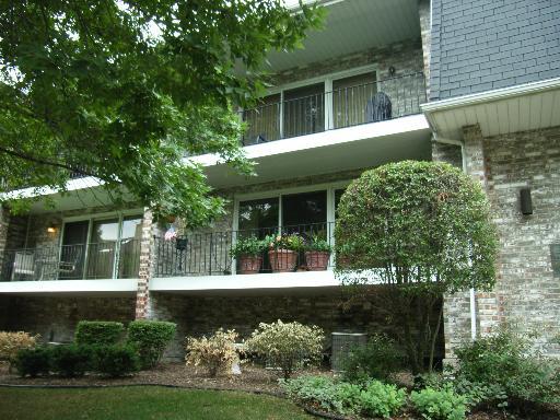 9153 Del Prado Dr. #1S, Palos Hills, IL 60465