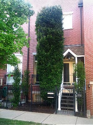 1906 N Kenmore St., Chicago, IL 60614