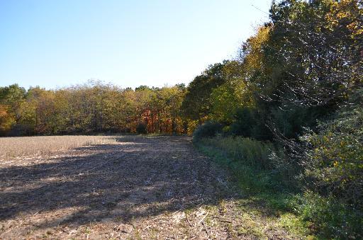 E1101 N 2509 Rd., Ottawa, IL 61350