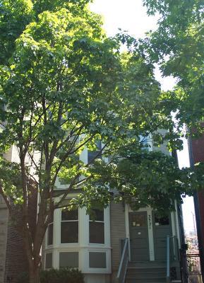 3321 N Kenmore Ave., Chicago, IL 60657