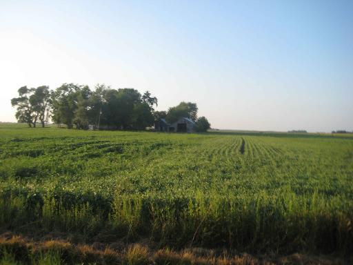 966 E 2100 N. Rd., Danforth, IL 60930