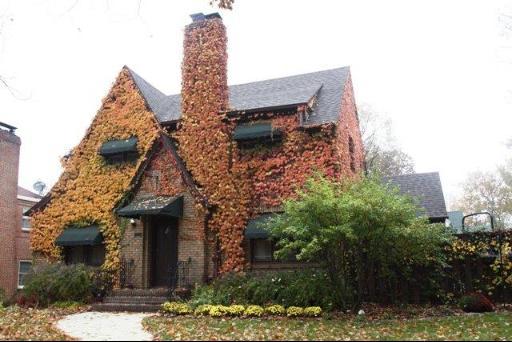 117 N Highland Ave., Rockford, IL 61107