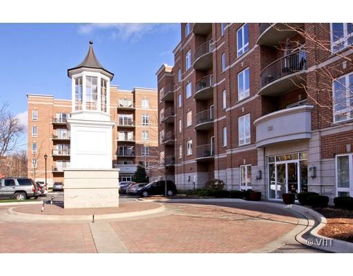 819 S Graceland Ave. #208, Des Plaines, IL 60016