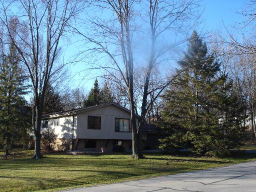 8905 W 101 Pl., Palos Hills, IL 60465