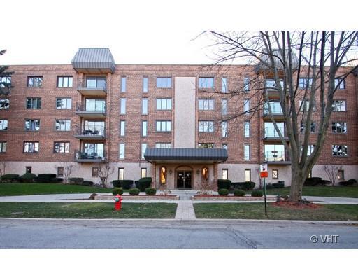 1551 E Ashland Ave. #306, Des Plaines, IL 60016