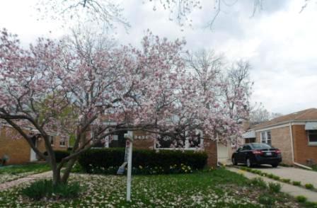 9436 Lorel Ave., Skokie, IL 60077