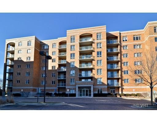 6815 N Milwaukee Ave. #408, Niles, IL 60714