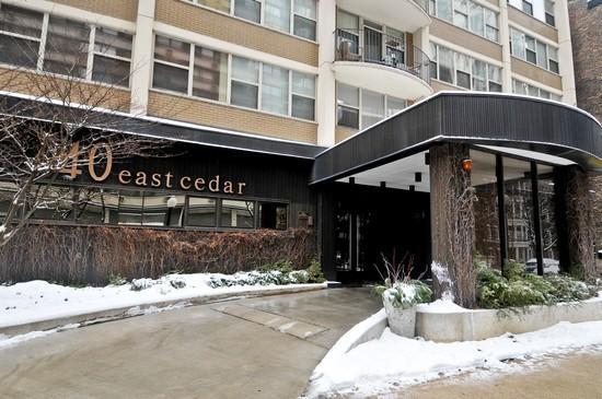 40 E Cedar St. #12B, Chicago, IL 60611