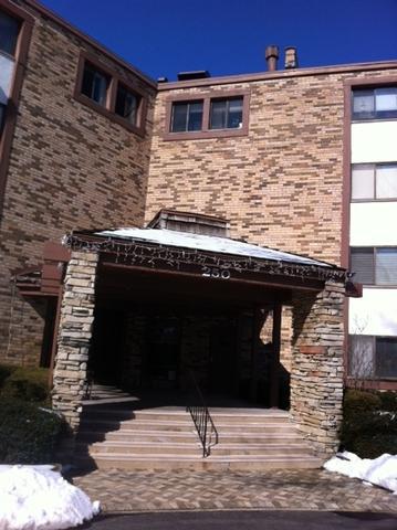 250 W Parliament Pl. #312, Mount Prospect, IL 60056