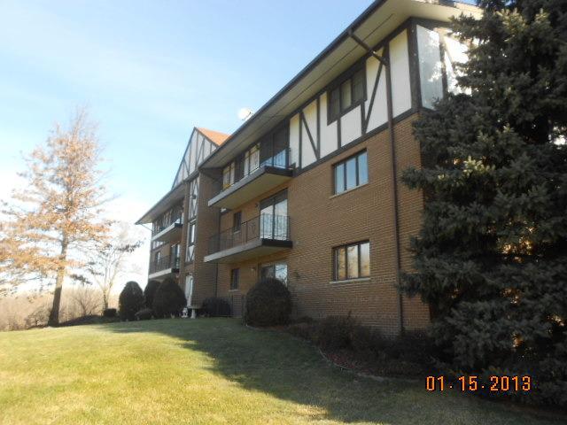 11000 S Theresa Cir. #2C, Palos Hills, IL 60465