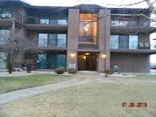 19561 Lake Shore Dr. #2S, Lynwood, IL 60411