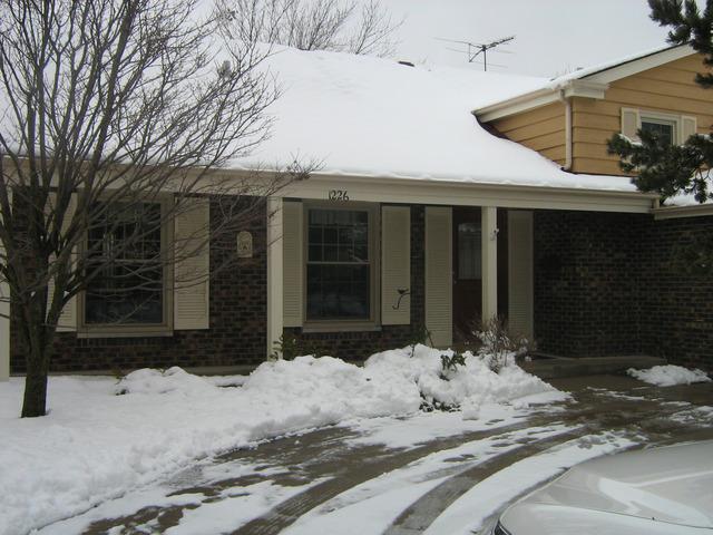 1226 E Burr Oak Dr., Arlington Heights, IL 60004