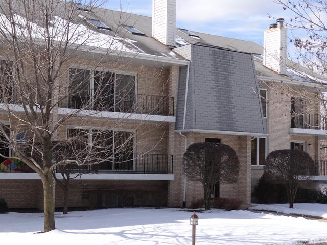 9068 Del Prado Dr. #1S, Palos Hills, IL 60465