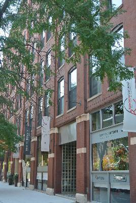 225 W Huron Ave. #507, Chicago, IL 60610