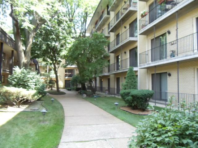 6221 N Niagara Ave. #508, Chicago, IL 60631