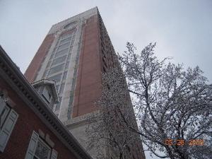 1211 N Lasalle St. #604, Chicago, IL 60610