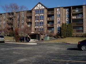 10441 S Circle Dr. #45C, Oak Lawn, IL 60453