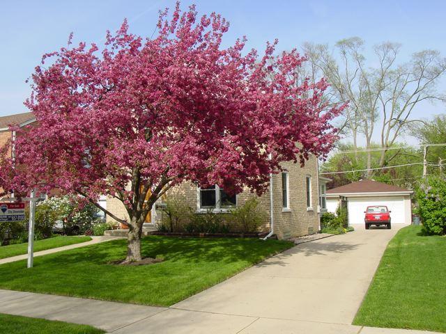 8317 N Merrill St., Niles, IL 60714