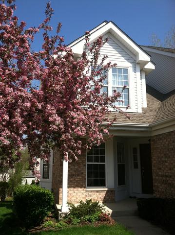 538 Citadel Cir., Westmont, IL 60559