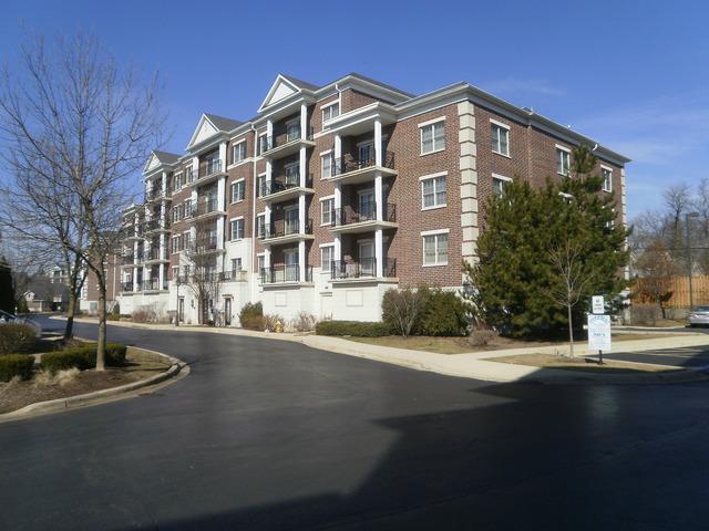 412 S Mcdaniels Cir. #303, Clarendon Hills, IL 60514