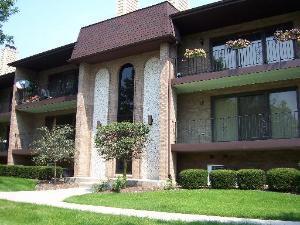 9192 Del Prado Dr. #1S, Palos Hills, IL 60465