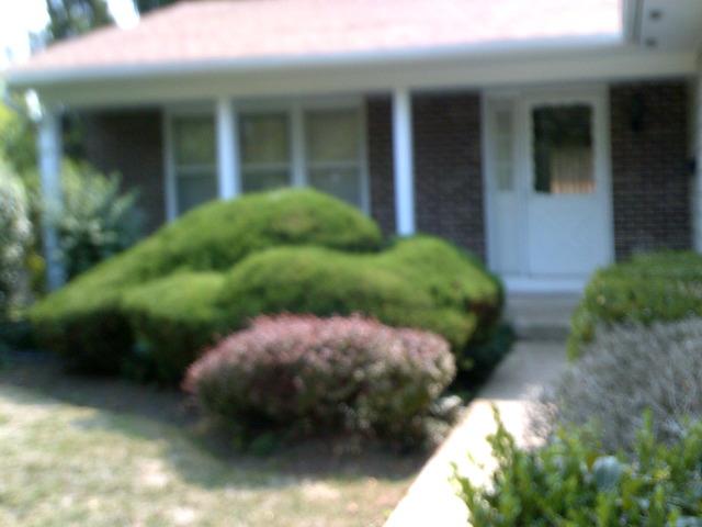 [Address Hidden by Seller], Elk Grove Village, IL 60007