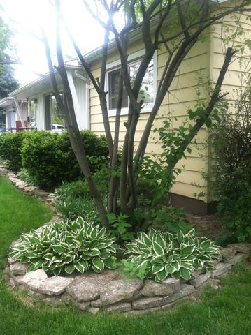 [Address Hidden by Seller], Downers Grove, IL 60515