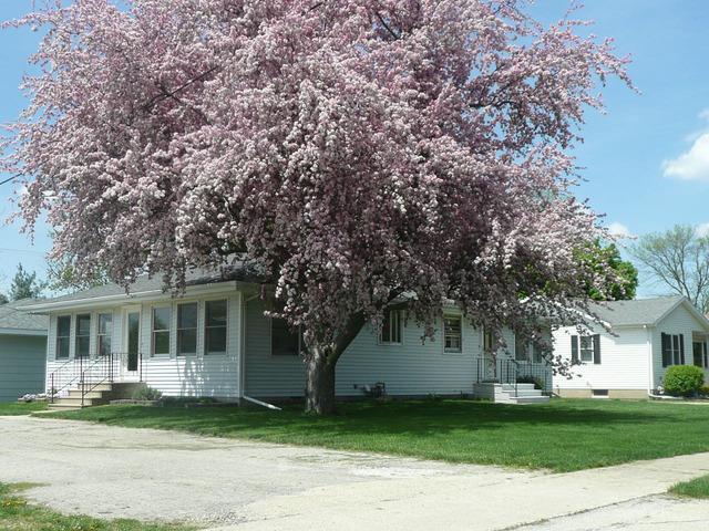 145 N Elm St., Herscher, IL 60941