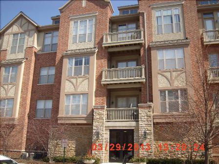 1739 Tudor Ln. #203, Northbrook, IL 60062