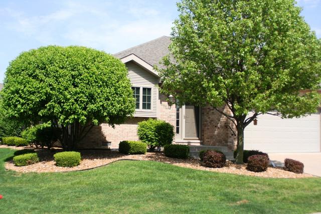 21227 Arbour Walk Dr., Frankfort, IL 60423