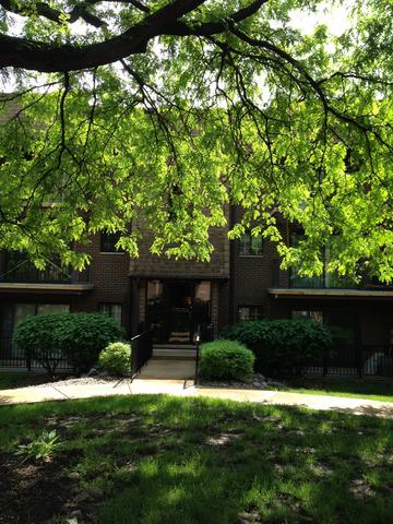 404 Melrose Ave. #303, Glen Ellyn, IL 60137
