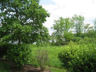 2431 Golf Ridge Cir., Naperville, IL 60563