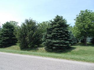 Lot 29 N 14th Rd., Lostant, IL 61334