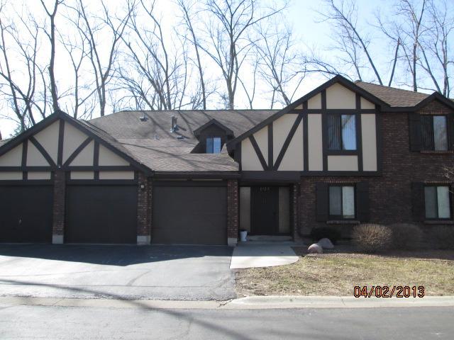 8127 Chestnut Dr. #58B, Palos Hills, IL 60465