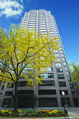 1410 N State Pkwy. #19AB, Chicago, IL 60610