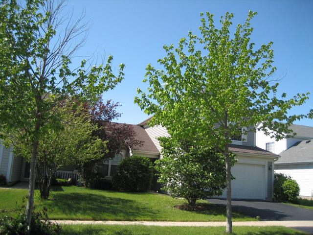 1217 Manchester Dr., Mundelein, IL 60060
