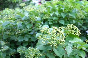 431 Kelburn Rd. #112, Deerfield, IL 60015