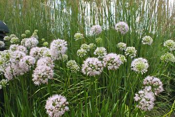 431 Kelburn Rd. #112, Deerfield, IL 60015