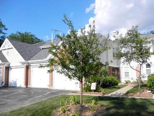 1932 Quaker Hollow Ln., Streamwood, IL 60107