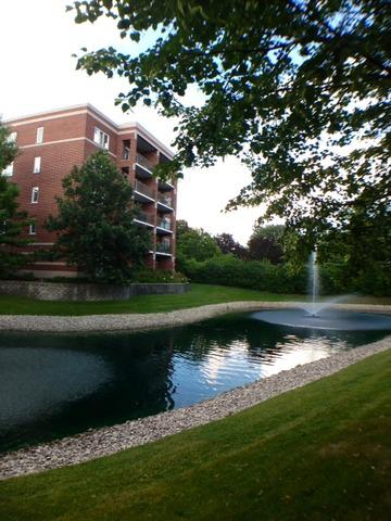 5225 N Rivers Edge Ter. #303, Chicago, IL 60630