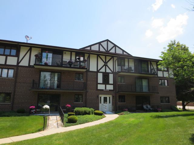 11009 Theresa Cir. #1C, Palos Hills, IL 60465