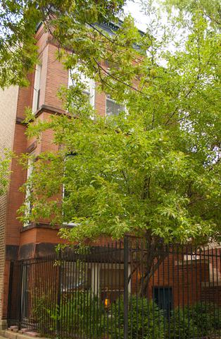 1367 N Hoyne Ave. #1, Chicago, IL 60622