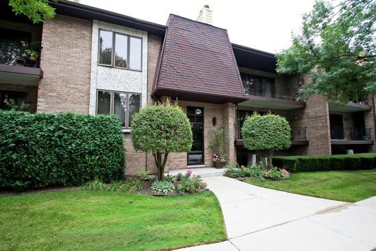 9194 Del Prado Dr. #1S, Palos Hills, IL 60465