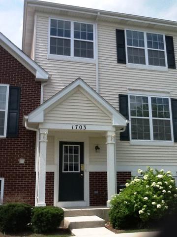 1703 W Turtle Creek Ln., Round Lake, IL 60073
