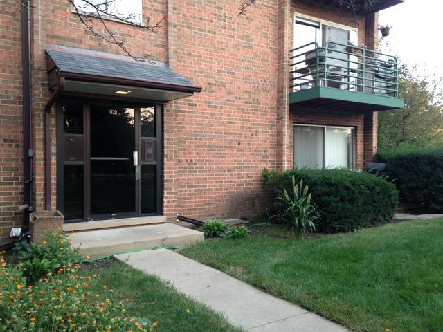 1029 Bucaneer Dr. #2, Schaumburg, IL 60173