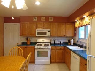 903 Linden Ct., Western Springs, IL 60558