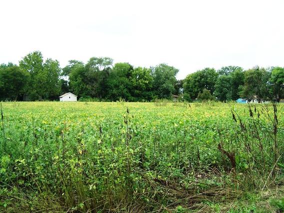 LOT 051 Hebbard St., Joliet, IL 60433